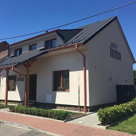 Penzion Hermina Veselí nad Moravou 외부 사진