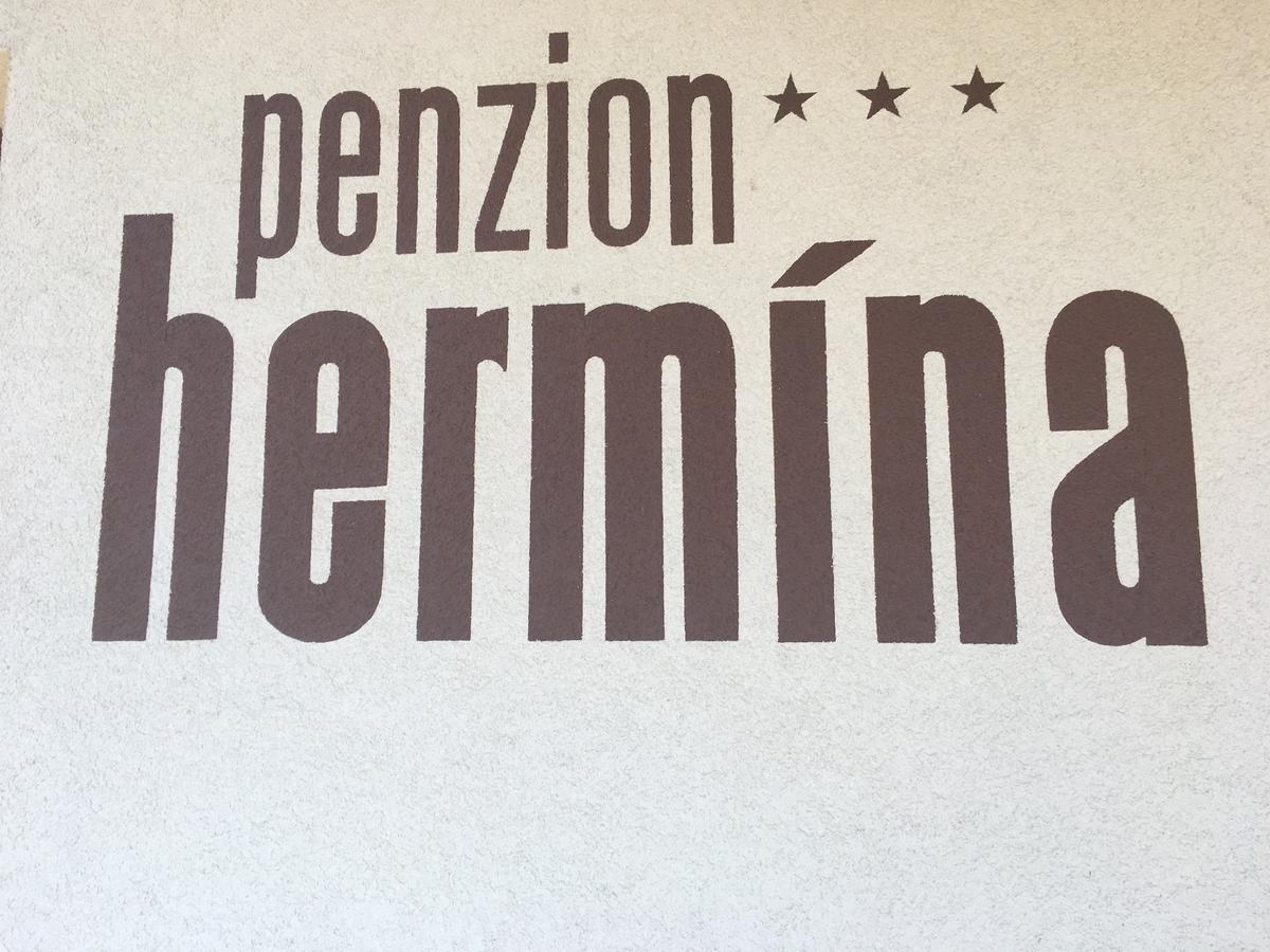 Penzion Hermina Veselí nad Moravou 외부 사진